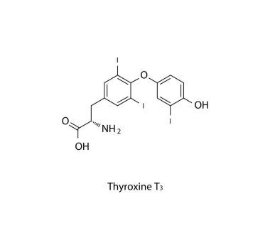 Thyroxine T3 hormonunun kimyasal yapısının vektör çizimi.