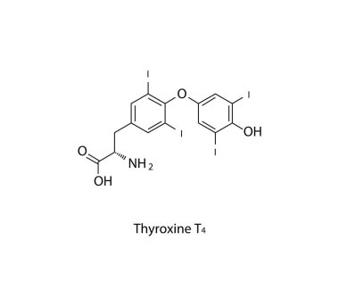 Thyroxine T4 hormonunun kimyasal yapısının vektör çizimi.