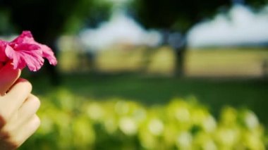 Bir kızın elindeki pembe çiçek yeşil bahçenin arka planında..