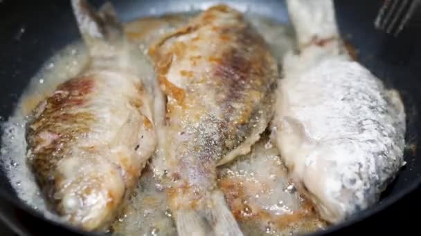 Friggere Pesce Una Padella Cuocere Pesce Fritto Nell Olio Caldo — Video Stock