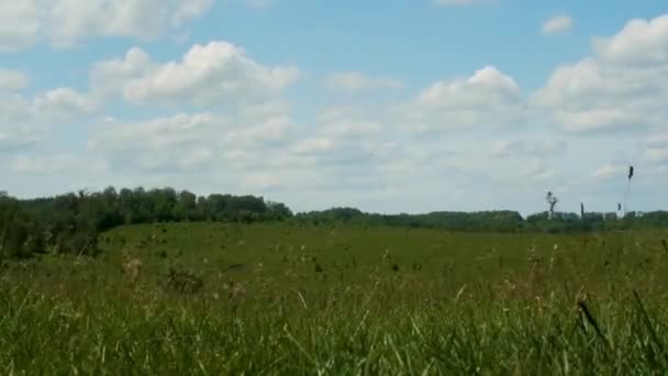 Prachtige Tijd Ronden Natuur Hardnekkige Bewolking Prachtige Natuur Landschap Bomen — Stockvideo