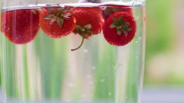 Fresas Que Caen Agua Fresas Jugosas Frescas Una Jarra Agua — Vídeos de Stock