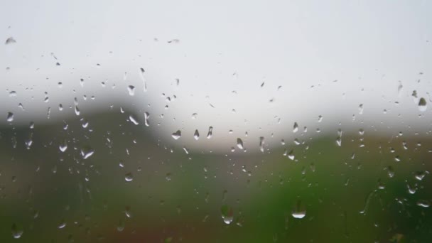 Yağmur Damlalar Pencereden Aşağı Akıyor Arka Plandaki Yağmurda Yağmur Damlalarına — Stok video