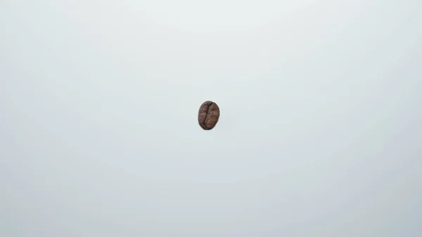 白い背景にコーヒー豆 全体の豆のコーヒー トップビュー — ストック写真