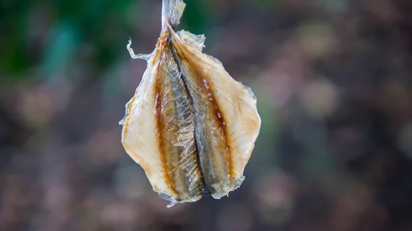 Dried fish for beer,dried fish for an alcoholic drink,close-up