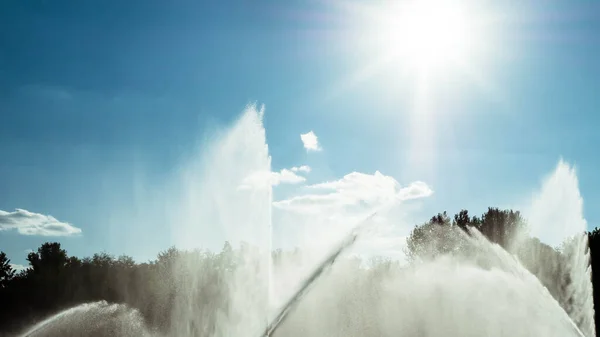 Fontaine Dans Parc Sur Fond Arbres Verts Beau Soleil Avec — Photo