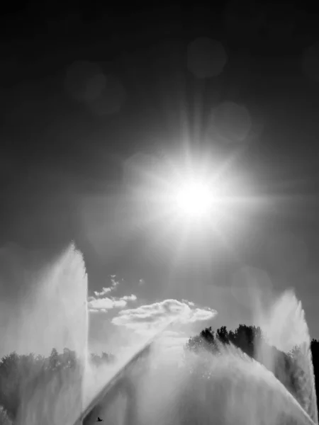 夏の噴水でスプラッシュとドロップ美しい太陽のまぶしさ 黒と白の画像の背景に夕日 — ストック写真