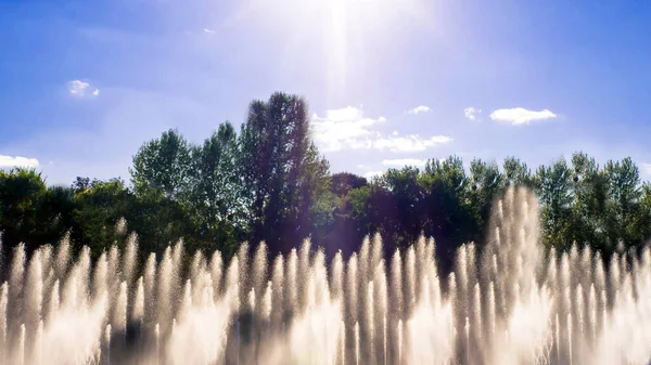 木々や緑の葉 青い空 水の洪水 クローズアップの背景にある美しい噴水 — ストック写真