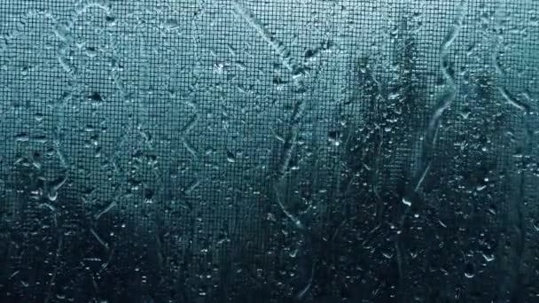Krople Deszczu Spływają Dół Moskitiery Krople Deszczu Piękne Przepływ Wody — Wideo stockowe