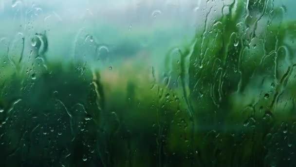 Beautiful Drops Rain Run Windowdroplets Run Glass Beautiful Texture Water — Stock Video