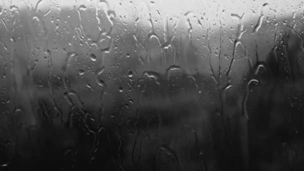 Beautiful Drops Flowing Glass Black White Footage Shower Rain Flowing — стоковое видео