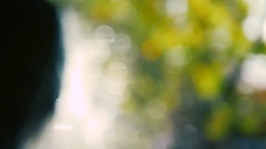 Damlaların parıltısı, güzel bokeh, bulanık arkaplan ile su sıçraması, yılbaşı ışıltısı.