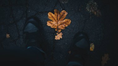 Sonbahar arka planında koyu renkler, altın sonbahar, sarı yapraklar insanın ayağında.