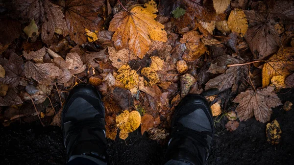Осенняя Листва Человеческие Ноги Желтых Листьях Золотая Листва Парке Природе — стоковое фото