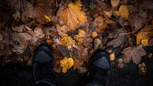 Őszi Lombozat Emberi Lábak Sárga Levelekben Arany Lombozat Parkban Természetben — Stock Fotó