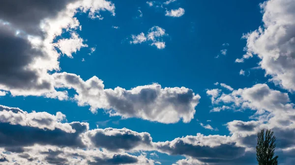 Pluizig Herfst Wolken Populier Boom Lucht Achtergrond Regen Wolken — Stockfoto