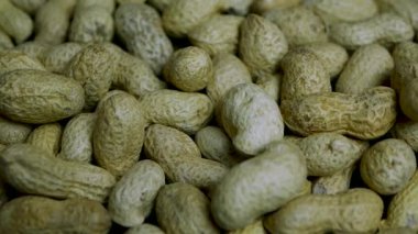 Deride yer fıstığı, yakın plan, fıstık baklası kayması.