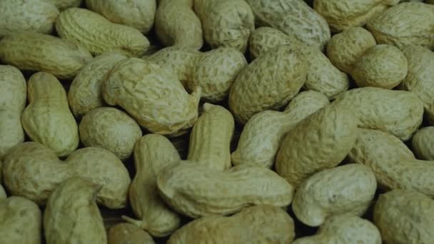 Peanut Beans Shell Close Peanut Nuts — Stock Video