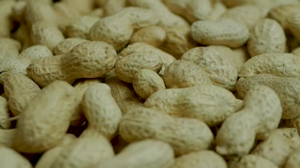 Peanuts Shell Peel Peanut Beans Close — Stock Video