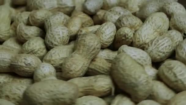 Peanuts Shells Peanut Beans — Stock Video