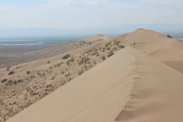 シンバラグ右旗 カザフスタンの砂漠保護区の砂丘を歌う — ストック写真