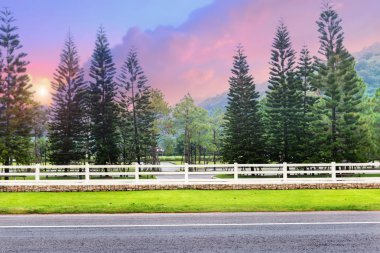 Pembe ve mavi gökyüzü günbatımı düşük aydınlatma ile yol kenarında ve çam ağacı, beyaz çit.