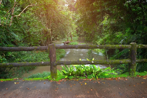 Concrete Fence Post Bridge Moss Nature National Park Thailand Rainy — Stock Photo, Image