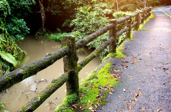 Betonnen Omheining Post Brug Met Mos Natuur Van Nationaal Park — Stockfoto