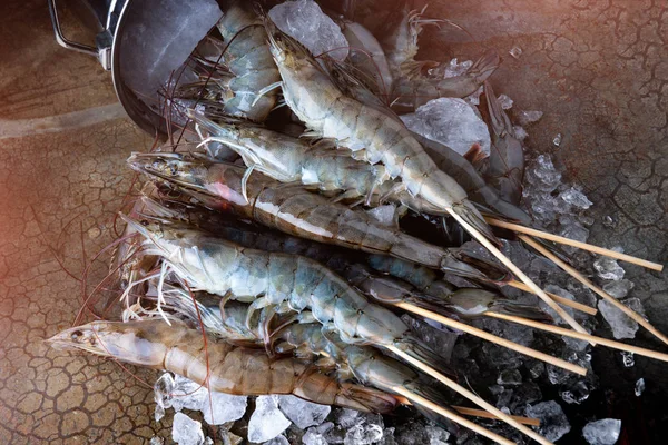 Spieß Rohe Garnelen Oder Garnelen Auf Eis Mit Niedrigen Und — Stockfoto