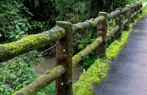 Concrete Fence Post Bridge Moss Nature National Park Thailand Rainy — Stock Photo, Image