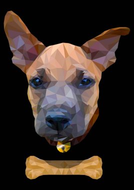 Tay ridgeback köpek kemik siyah arka plan ile 3D resimde Çokgen çizimi.