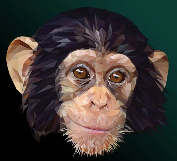 Ilustração Desenho Poligonal Rosto Jovem Chimpanzé — Vetor de Stock