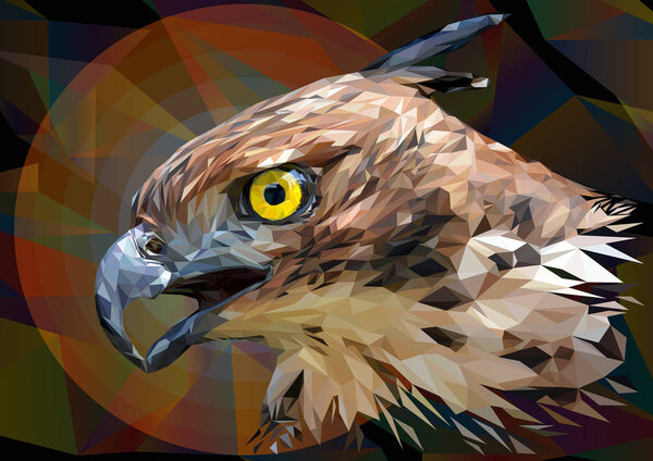 Illustration polygonal drawing  Head focus of the Changeable Hawk Eagle.