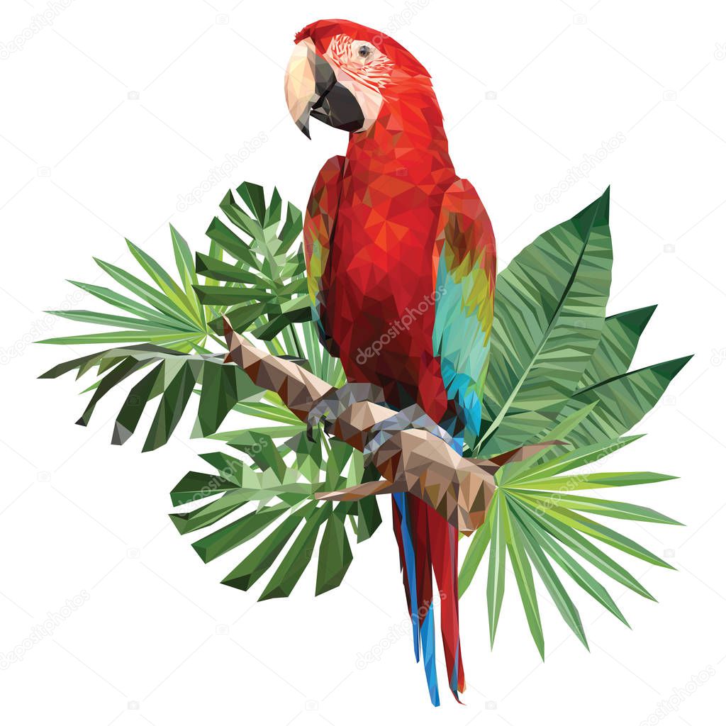 Illustration polygonal drawing of green wing macaw bird with tropical leaf.