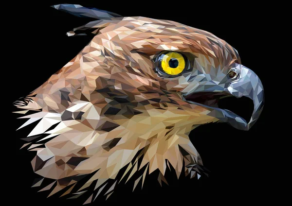 Illustratie Veelhoekige Tekening Hoofd Focus Van Eagle Hawk Veranderlijk — Stockvector