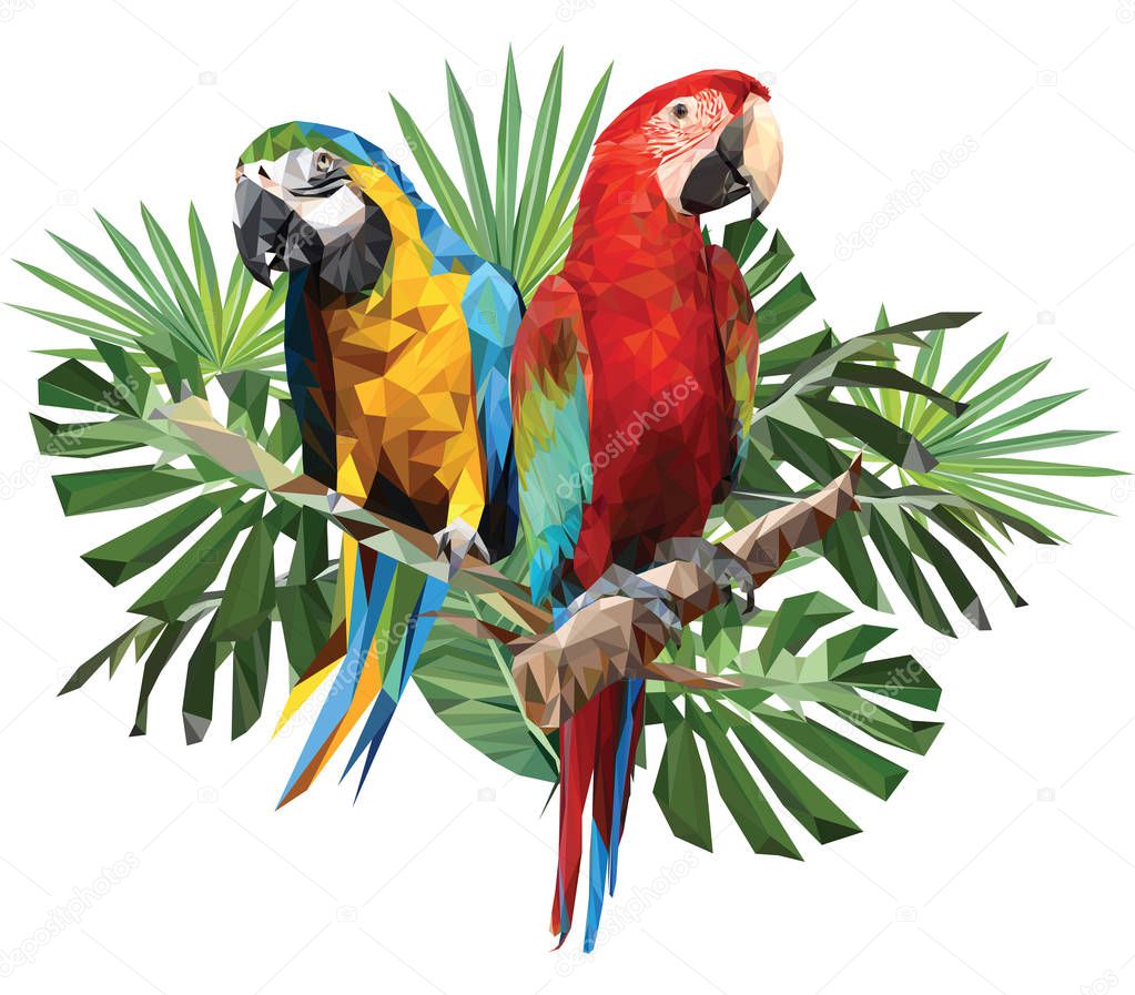 Illustration polygonal drawing of green wing and blue and gold macaw birds with tropical leaf.