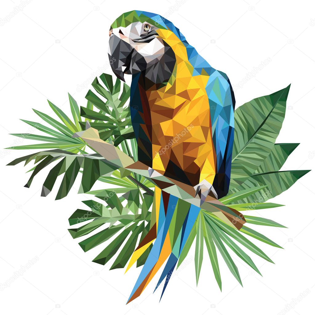 Illustration polygonal drawing of blue and gold macaw bird with tropical leaf.