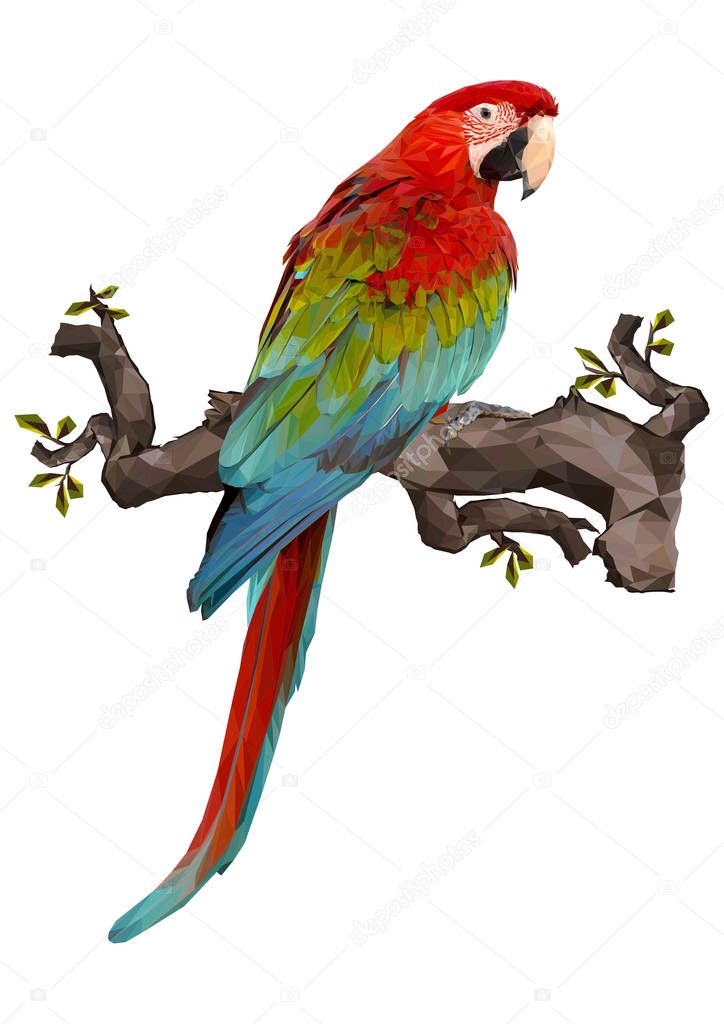 Illustration polygonal drawing of green wing macaw  bird hold on the branch.