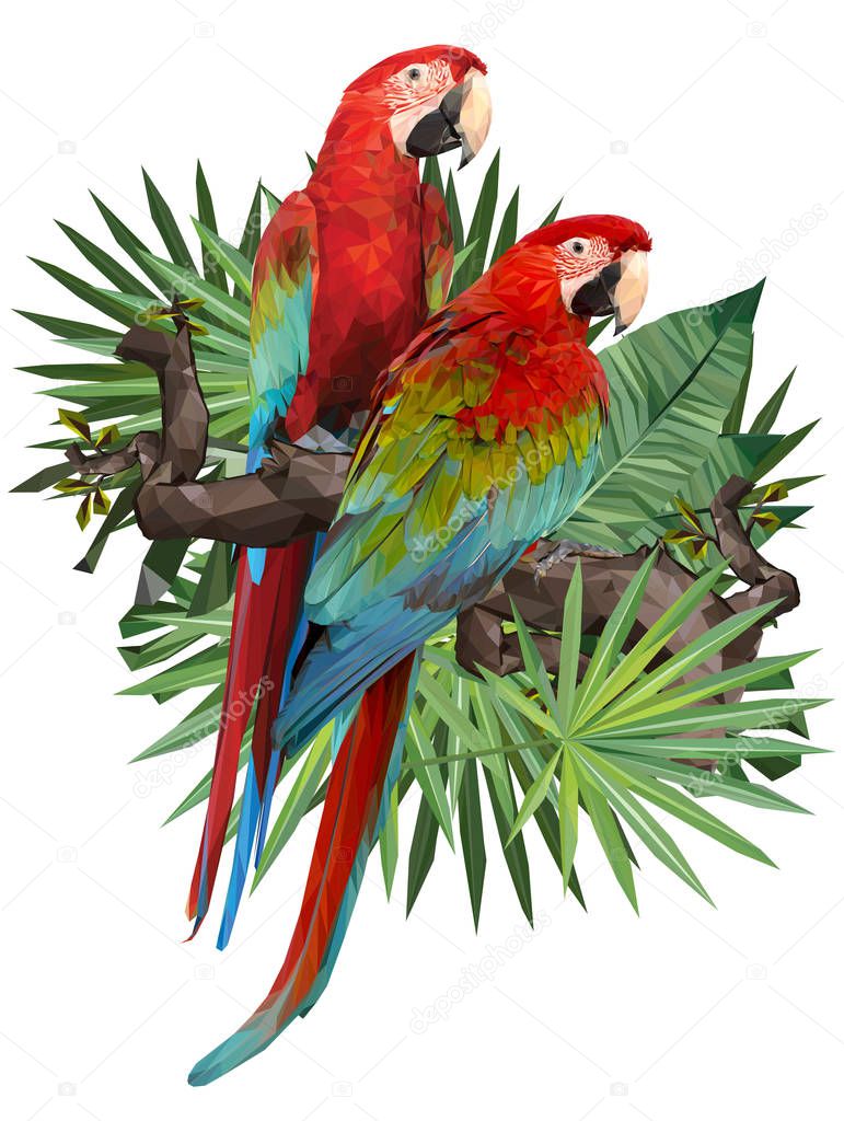 Illustration polygonal drawing of green wing and blue and gold macaw birds with tropical leaf.
