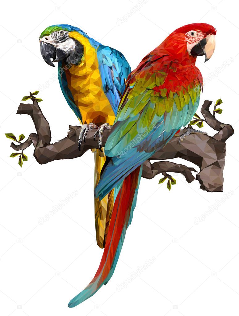 Illustration polygonal drawing of green wing macaw  birds hold on the branch.