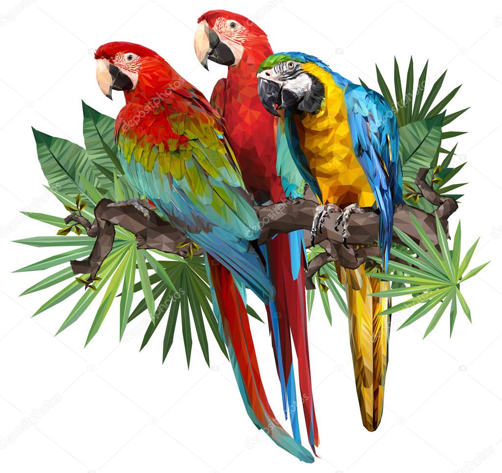 Illustration polygonal drawing of green wing and blue and gold macaw birds with tropical leafs.