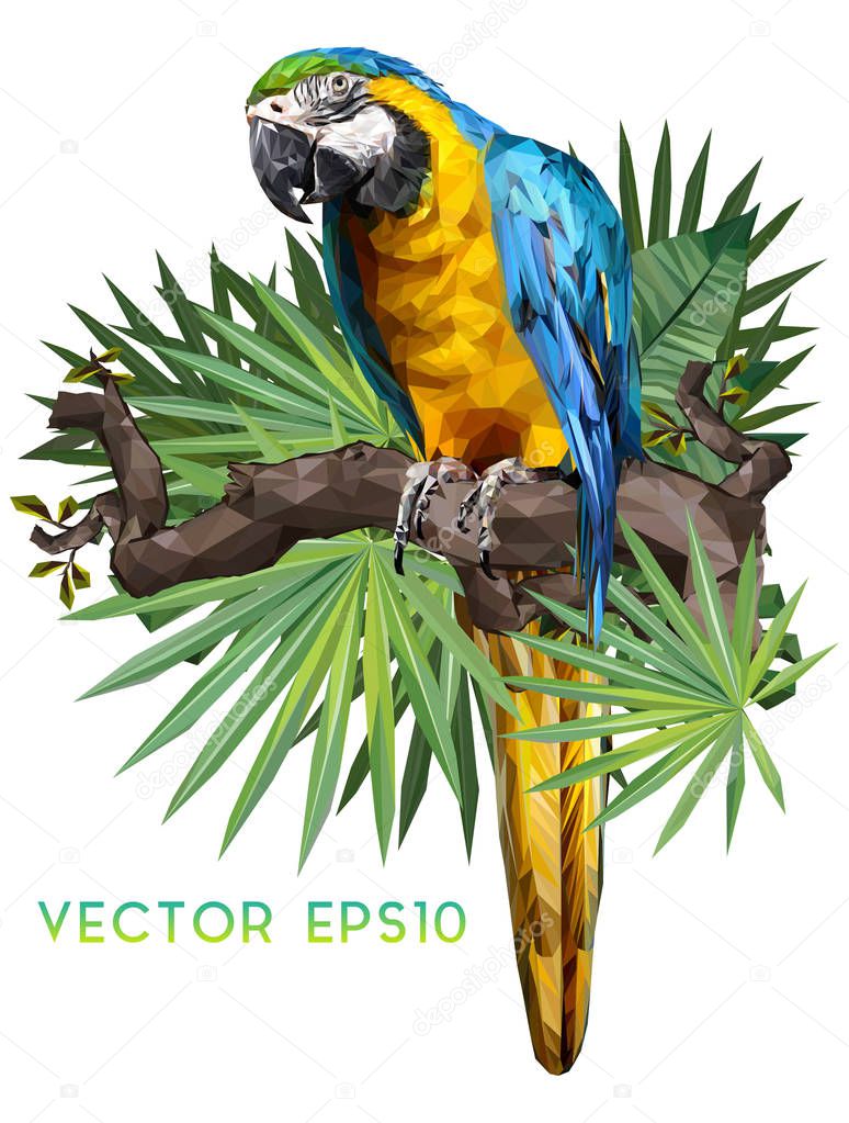Illustration polygonal drawing of green wing and blue and gold macaw birds with tropical leaf.
