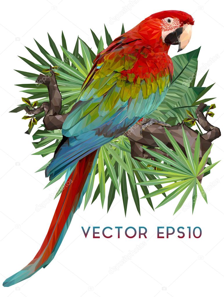 Illustration polygonal drawing of green wing macaw  bird hold on the branch and tropical leafs.