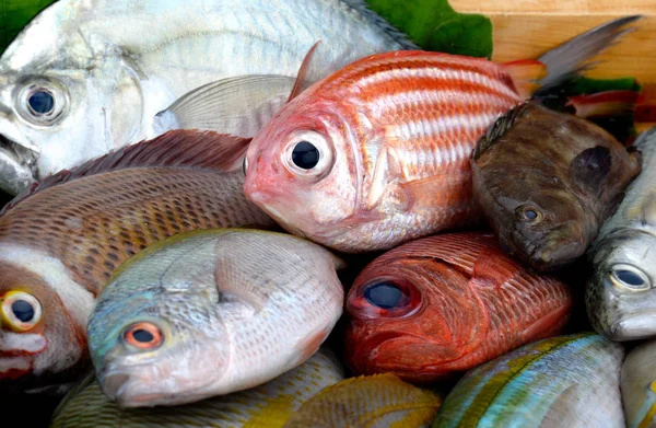 Mix Colorful Sea Fishes Fishery Market Studio Lighting — Stock Photo, Image
