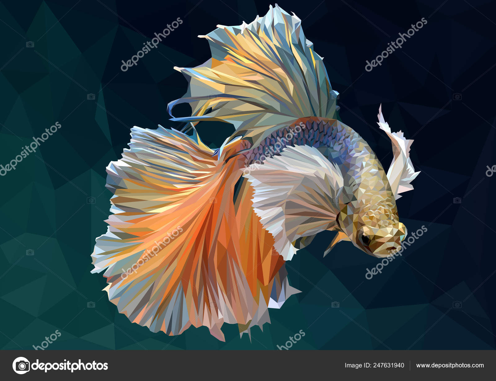 Betta Fish Stock Photo