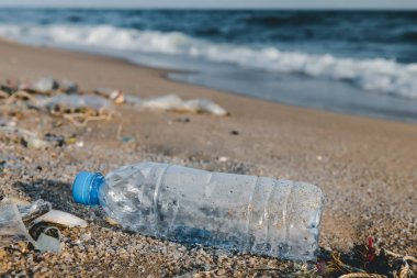 Sahilde plastik şişe çöp.