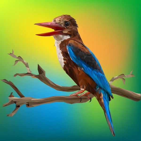 Illustratie veelhoekige van witte throated Kingfisher vogel. — Stockvector