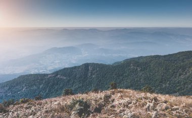 Kuru çayır ve sis bulutlu dağ manzarası.