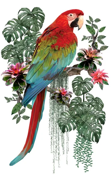 Polygonální Ilustrace Zelené Okřídlené Macaw Pták Amazon Lesní Rostliny Bílým — Stock fotografie