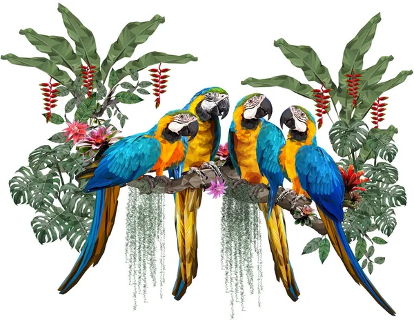 白を基調とした青と金のマコウやアマゾンの森の植物の多角形のイラスト — ストック写真
